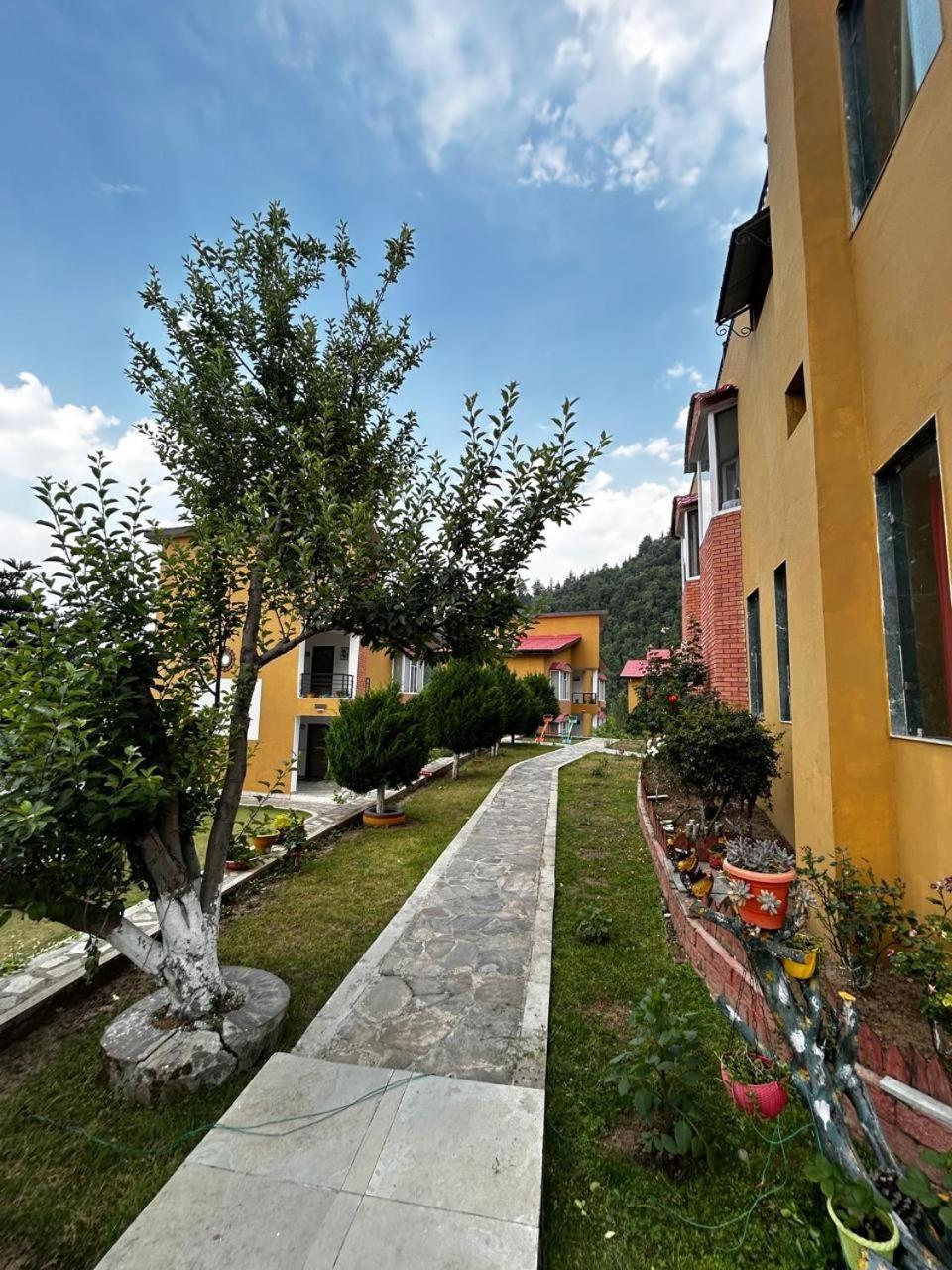 Mist N Meadows Resort Rajgarh  Bagian luar foto